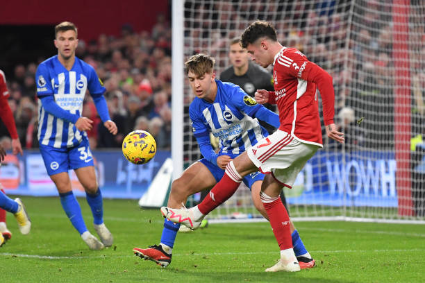 组在排兵布 组在排兵布